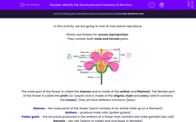 'Identify the Structures and Functions of the Flowering Plant' worksheet