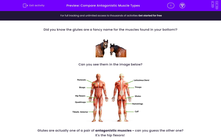 'Compare Antagonistic Muscle Types' worksheet