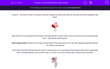 'Find Out Why Plants Have Flowers' worksheet