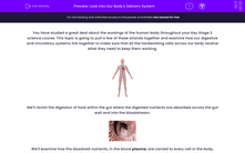 'Look Into Our Body's Delivery System' worksheet