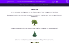 'Understand the Difference Between Evergreen and Deciduous Trees' worksheet