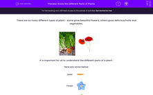'Know the Different Parts of Plants' worksheet