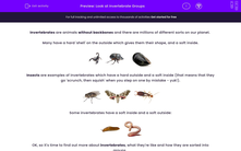 'Look at Invertebrate Groups' worksheet