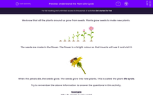 'Understand the Plant Life Cycle' worksheet