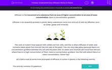 'Understand How Diffusion Works in Plants' worksheet