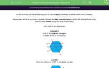 'Practise Identifying Lines of Symmetry ' worksheet