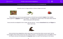 'Look at Animal Adaptations' worksheet