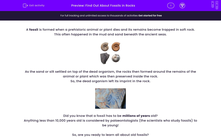 'Find Out About Fossils in Rocks' worksheet