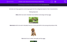 'Learn About the Animal Group Called Birds' worksheet