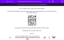 'Identify and Classify Animals and Plants' worksheet