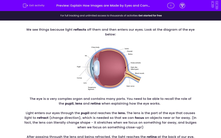 'Explain How Images are Made by Eyes and Cameras' worksheet