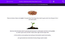 'Understand What Plants Need To Grow' worksheet