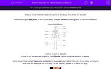 'Describe the Different Joints in the Body' worksheet