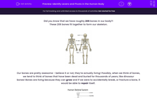 'Identify Levers and Pivots in the Human Body' worksheet