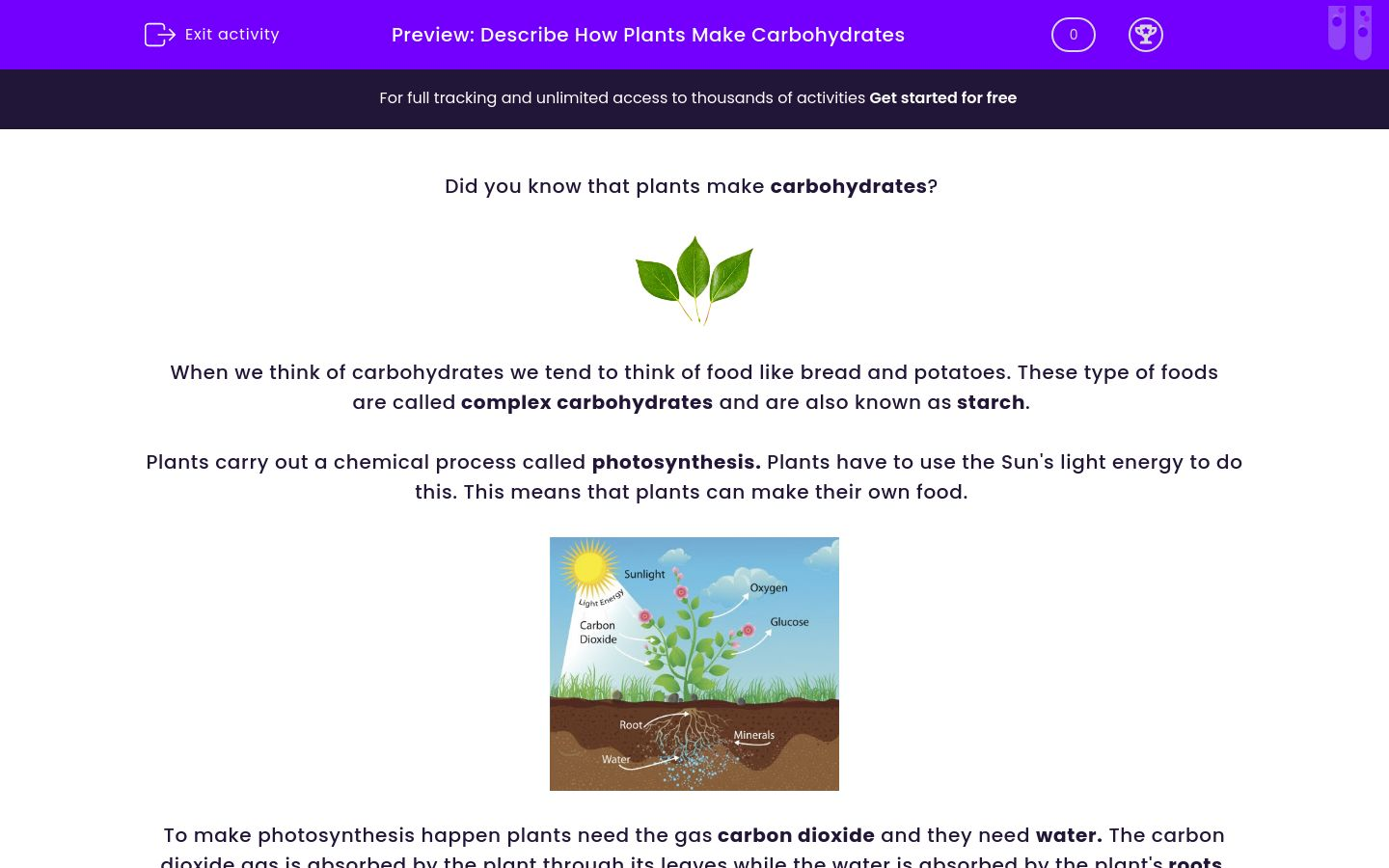 Describe How Plants Make Carbohydrates Worksheet EdPlace