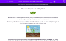 'Describe How Plants Make Carbohydrates' worksheet