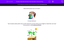 'Describe the Role of the Stomata in Gas Exchange in Plants' worksheet