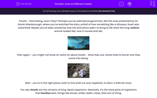 'Look at Different Fossils' worksheet